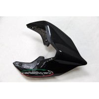 Carbonvani - Ducati Panigale / Streetfighter V4 / V2 / S / R / Speciale Carbon Fiber Tail - Road Version